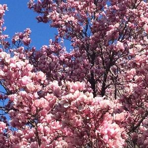 Meet your Posher, Em